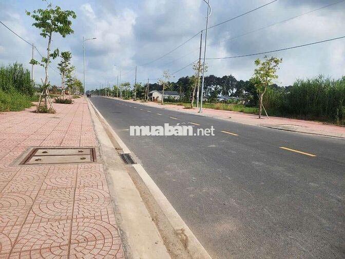 ĐẤT NỀN MẶT TIỀN ĐƯỜNG D1 LONG HỒ TỈNH VĨNH LONG