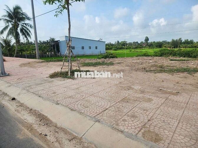 ĐẤT NỀN MẶT TIỀN ĐƯỜNG D1 LONG HỒ TỈNH VĨNH LONG