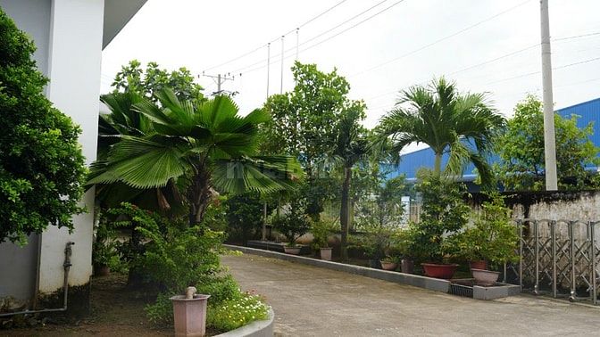 TUYỂN CÔNG NHÂN NAM - NỮ LÀM VIỆC TRONG MÁY LẠNH - GẤP