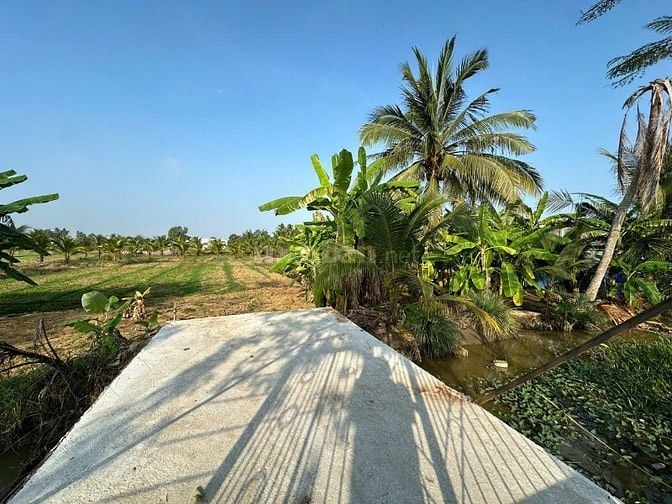 BÁN 2 SỔ ĐẤT Tân An, Long An cũ