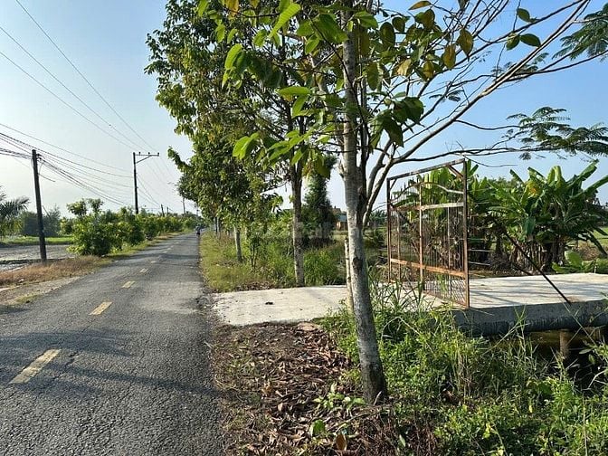 BÁN 2 SỔ ĐẤT Tân An, Long An cũ