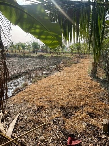 BÁN 2 SỔ ĐẤT Tân An, Long An cũ