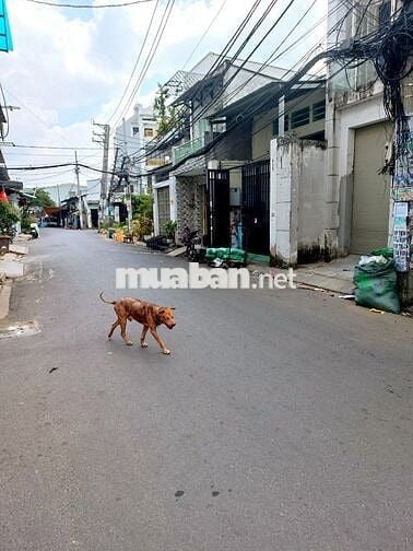 Cho thuê nhà nguyên căn, đường xe hơi 9 mét (lưu thông 2 chiều)