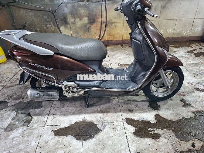 Honda Lead Fi 2010 Nâu-Đen