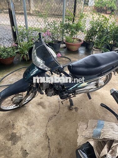 Honda màu Xanh đen