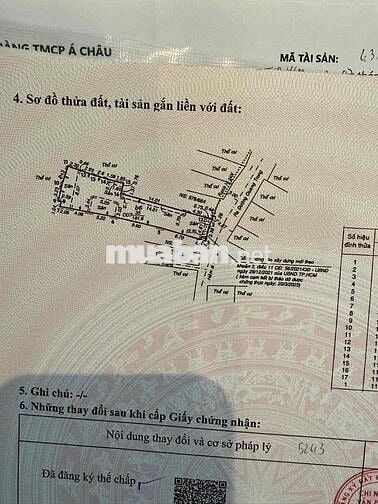 CHDV 32 phòng đường Quang Trung, đang có dòng tiền sẵn, giá chỉ 18 tỷ