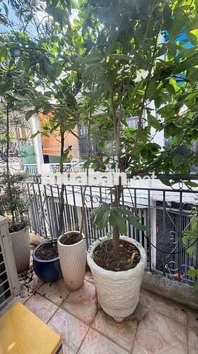 Tô Hiệu, DTSD 35M2, hẻm xe hơi, 2 tầng chỉ hơn 3 tỷ TL