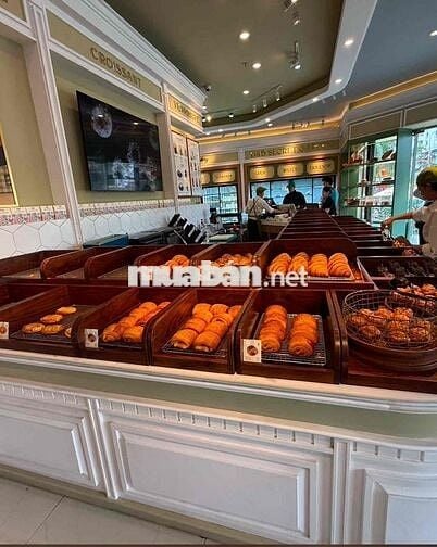MẶT BẰNG KHU TRẦN BẠCH ĐẰNG - AN THƯỢNG 2 , VỊ TRÍ ĐẸP GẦN BIỂN
