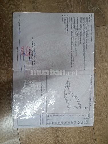 Chính chủ bán 11.928m2 đất và thổ cư