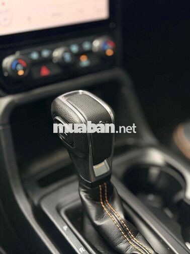 Ford Ranger Wildtrak 2.0L 2 Cầu 2025 Đen