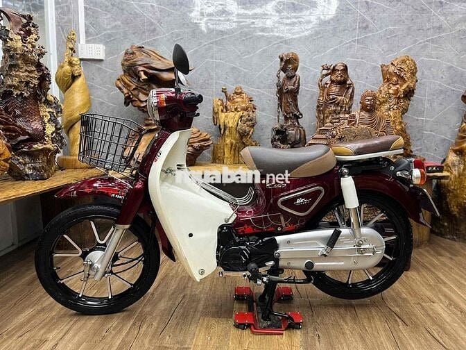 Cub đời 2023 chính chủ biển sg máy zin