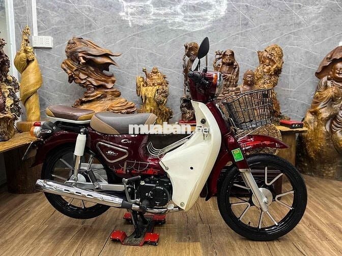 Cub đời 2023 chính chủ biển sg máy zin