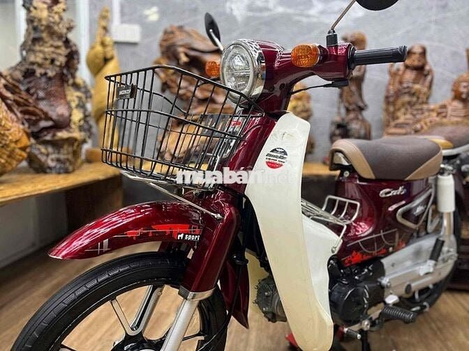 Cub đời 2023 chính chủ biển sg máy zin