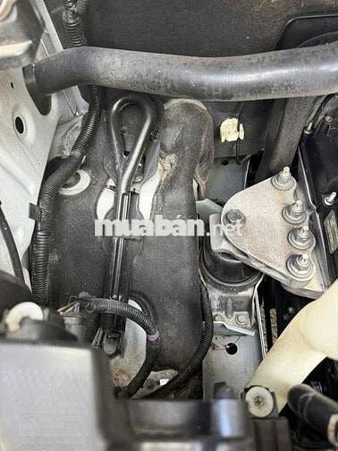 Ford Tourneo titaimum 2021 Trắng Tự động