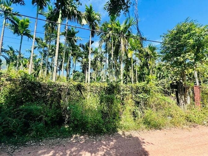 Bán đất xã An Nhơn Tây 1598m2 thổ cư 215m2. Giá bán 4 tỷ.