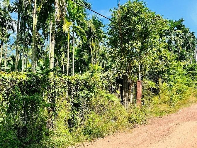 Bán đất xã An Nhơn Tây 1598m2 thổ cư 215m2. Giá bán 4 tỷ.