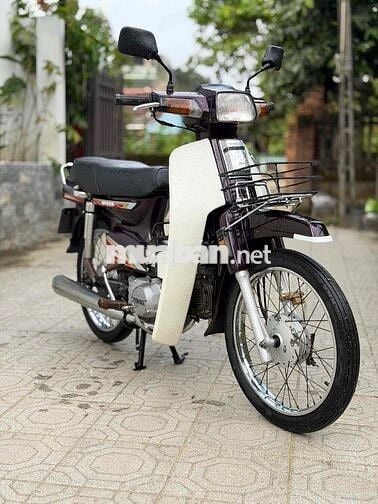 Honda Dream Thái Lan Nâu, Trắng