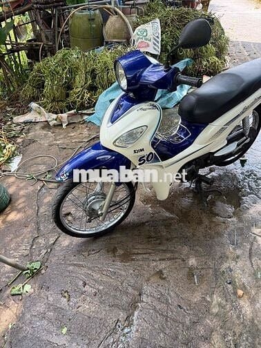 SYM Angela 50cc Trắng Xanh