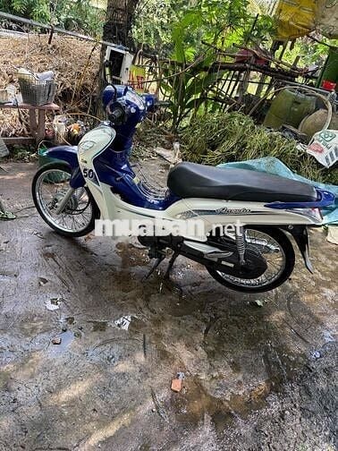 SYM Angela 50cc Trắng Xanh