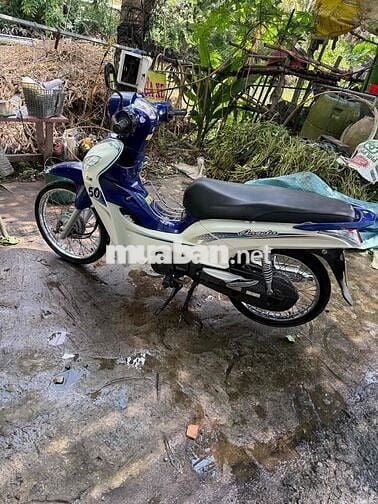 SYM Angela 50cc Trắng Xanh