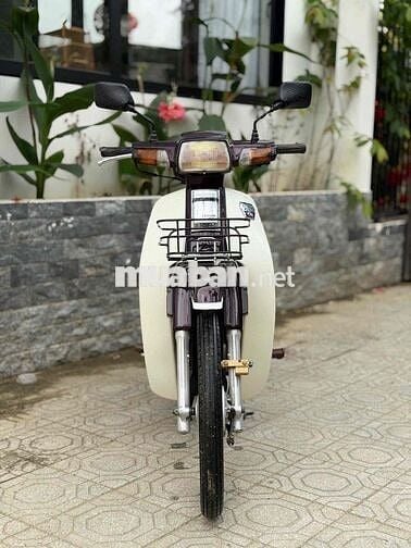 Honda Dream Thái Lan Nâu, Trắng