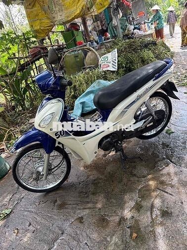 SYM Angela 50cc Trắng Xanh