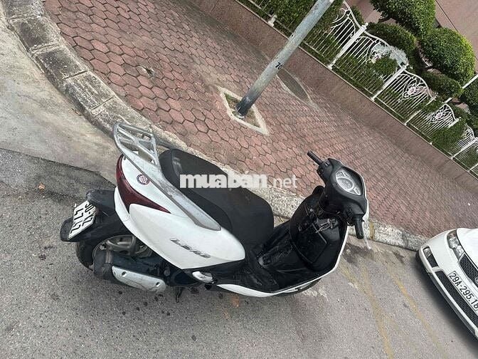 Honda Lead Trắng