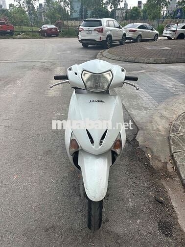 Honda Lead Trắng