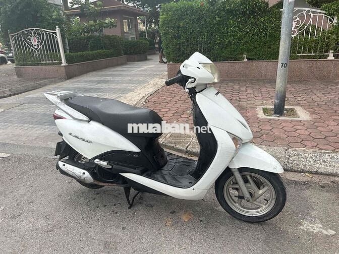 Honda Lead Trắng