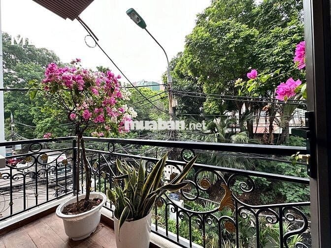STUDIO FULL NỘI THẤT  196 HỒ TÙNG MẬU - GẦN ĐH THƯƠNG MẠI, ĐH QUỐC GIA