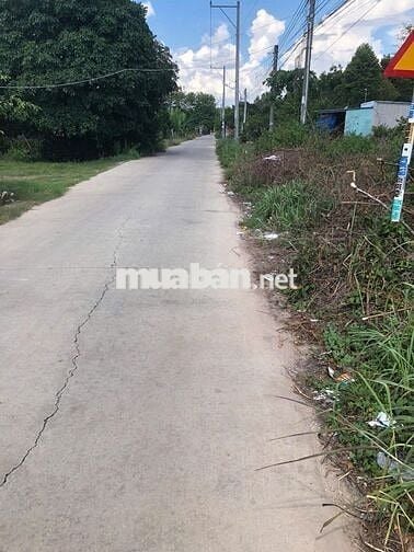 Nhà vườn gần Chợ Lai Uyên, mặt đường, 500m, 2tr/tháng, vườn 20 cây mít