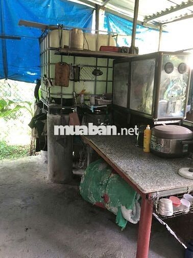 Nhà vườn gần Chợ Lai Uyên, mặt đường, 500m, 2tr/tháng, vườn 20 cây mít
