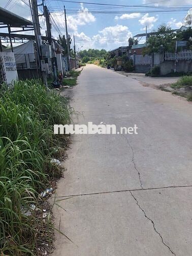 Nhà vườn gần Chợ Lai Uyên, mặt đường, 500m, 2tr/tháng, vườn 20 cây mít