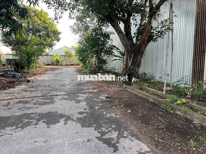 🔥🔥🔥 CHO THUÊ KHO XƯỞNG 1.000m² GIÁ CHỈ 19 TRIỆU/THÁNG 🔥🔥🔥  🏭 KHO RỘNG