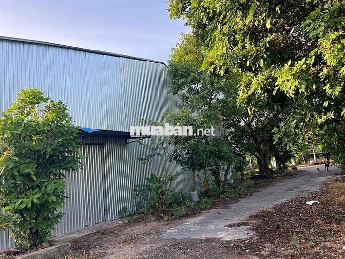 🔥🔥🔥 CHO THUÊ KHO XƯỞNG 1.000m² GIÁ CHỈ 19 TRIỆU/THÁNG 🔥🔥🔥  🏭 KHO RỘNG
