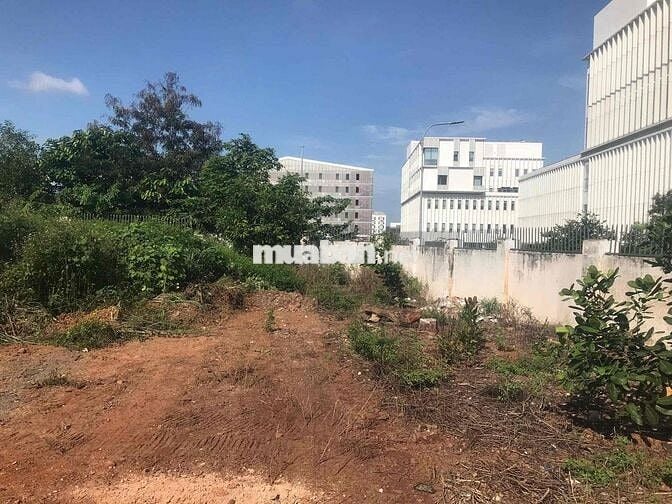 [MIỄN TIẾP ĐĂNG TIN] Bán 700m2 đất sẵn 300m2 thổ cư phường Thới Hoà