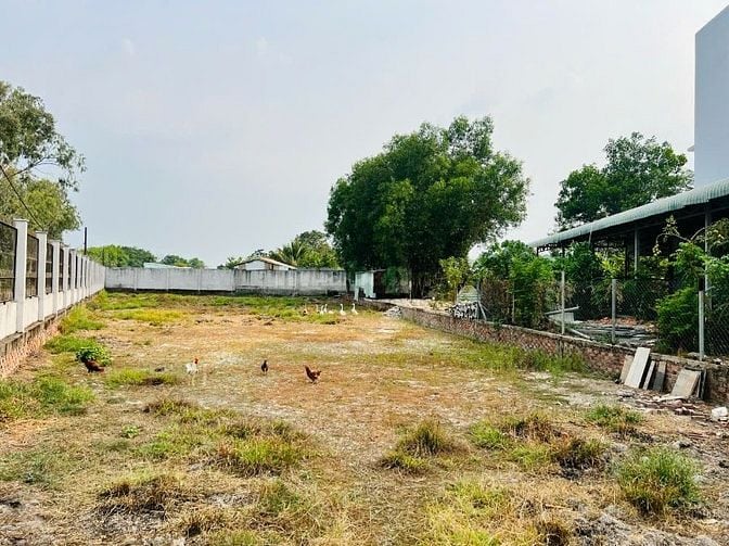 Bán đất tại xã Trung Lập Hạ 1288m2 có 300 ONT. Giá 4 tỷ 500 triệu