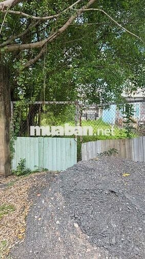 BÁN ĐẤT NỀN FULL THỔ CƯ TÂN QUÝ TÂY, BÌNH CHÁNH – 500M² – SỔ HỒNG RIÊN