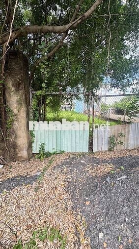 BÁN ĐẤT NỀN FULL THỔ CƯ TÂN QUÝ TÂY, BÌNH CHÁNH – 500M² – SỔ HỒNG RIÊN