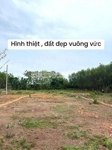 🔥 CHỈ 430TR – SỞ HỮU NGAY ĐẤT NHÀ VƯỜN ĐẸP TẠI HỒ TRỊ AN 🔥