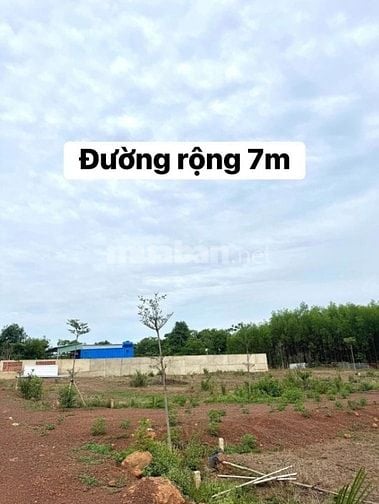 🔥 CHỈ 430TR – SỞ HỮU NGAY ĐẤT NHÀ VƯỜN ĐẸP TẠI HỒ TRỊ AN 🔥