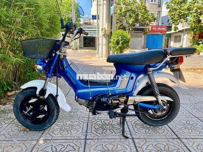 Honda Chaly 50cc Xanh 50cc