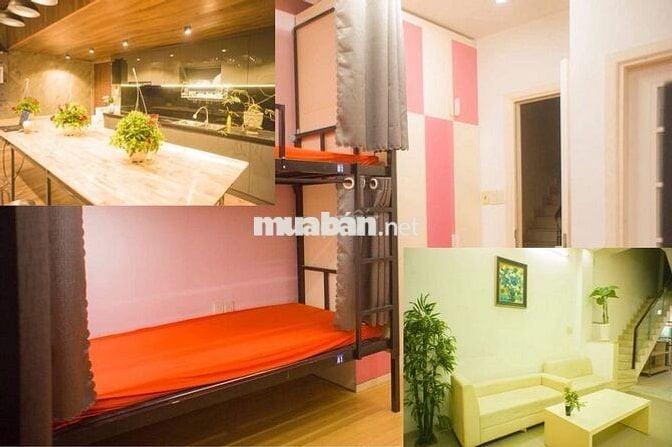Trọ ghép Đại học Kinh tế HCM UEH đường 3 tháng 2 Sinh viên Văn phòng