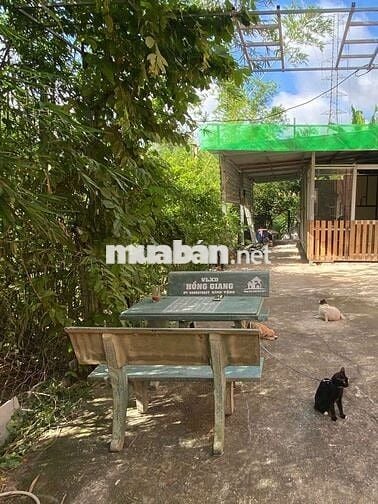 📢 CHÍNH CHỦ BÁN ĐẤT CÓ NHÀ VƯỜN 699trieu – 5x65m – SỔ HỒNG RIÊNG
