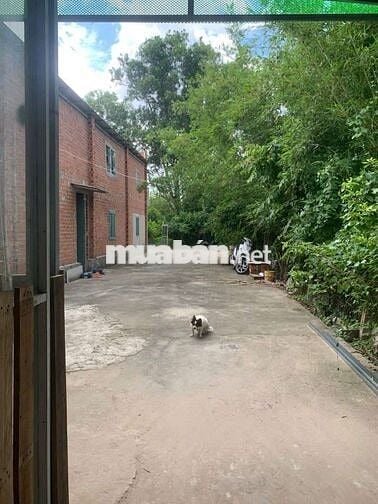 📢 CHÍNH CHỦ BÁN ĐẤT CÓ NHÀ VƯỜN 699trieu – 5x65m – SỔ HỒNG RIÊNG