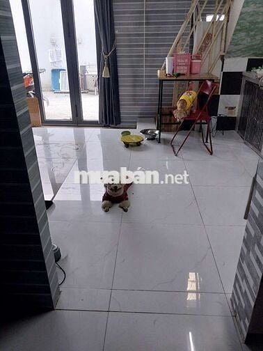 NHÀ SỔ RIÊNG GẦN ĐƯỜNG NHỰA LỚN ĐƯỜNG TRẦN VĂN GIÀU, TRƯỜNG HỌC, CHỢ,