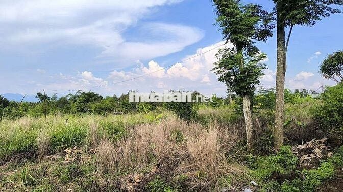 Cần Bán Gấp 1hec5 tại Xã Phú Hòa, Thành Phố Đồng Nai