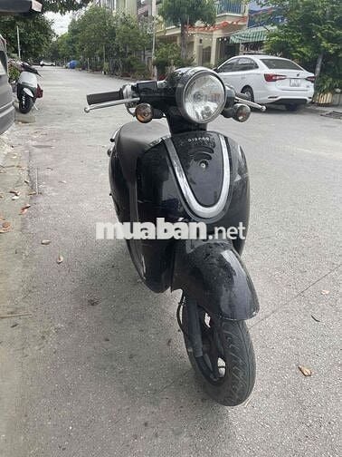 Honda Giorno 50cc Đen