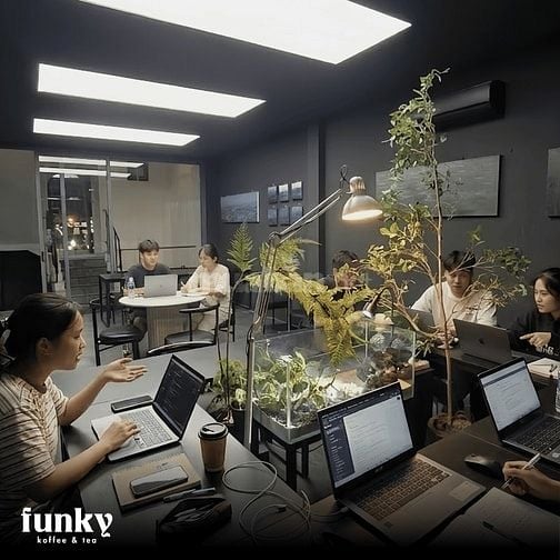 Sang quán Coffee ngay trung tâm quận 10 siêu rộng, hoạt động ngay