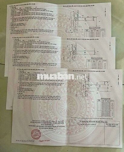 Bán 3 nền Thổ Cư Mt đường Nhựa 10m Xã Tân Nhựt Bình Chánh TP HCM
